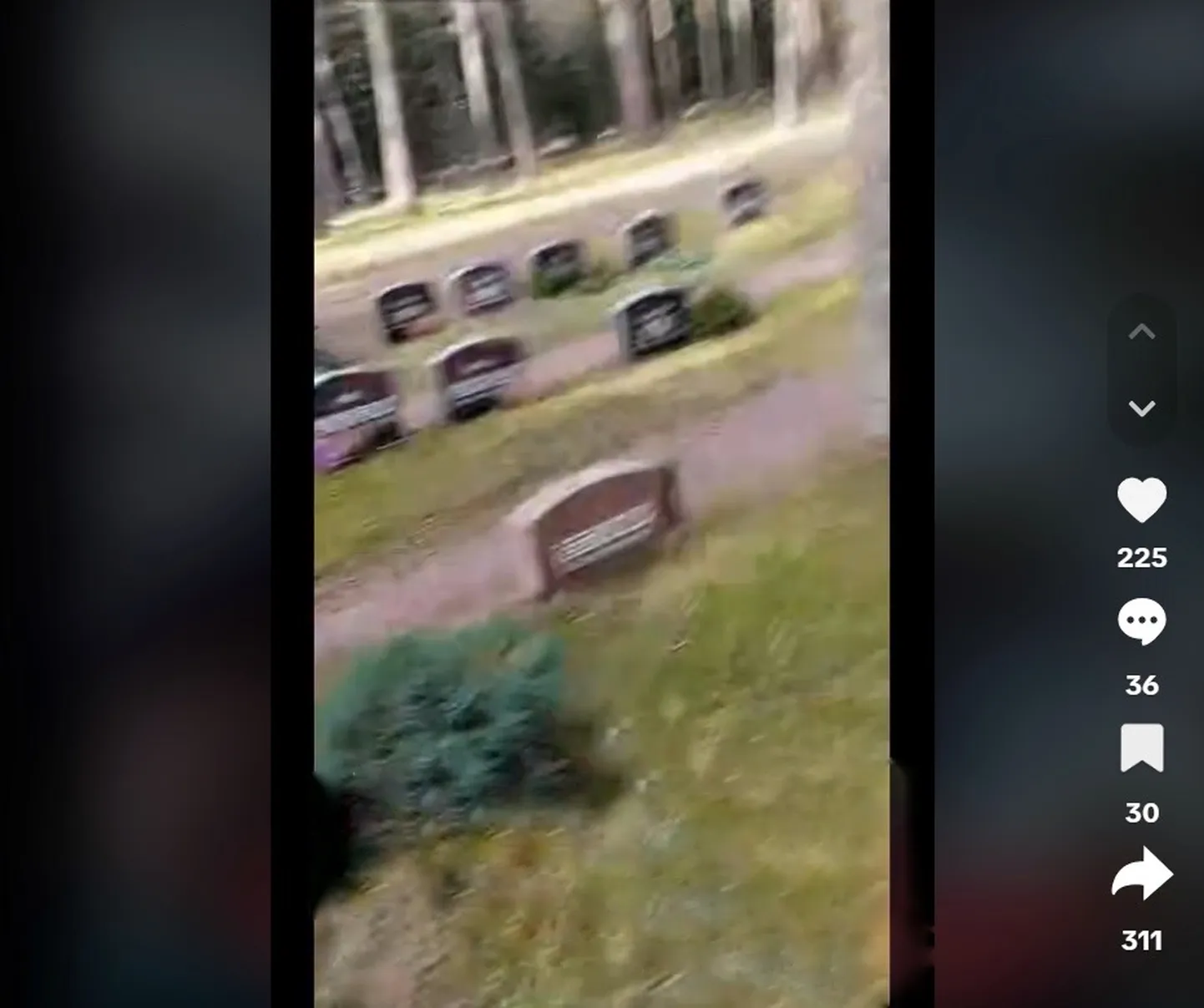 «See ei ole normaalne!»