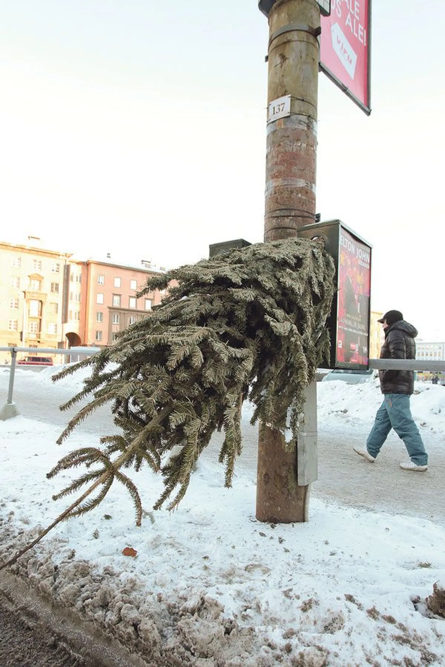 Фото статьи
