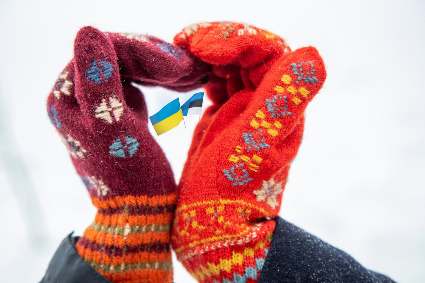 Eesti ja Ukraina lipp kätega moodustatud südames.