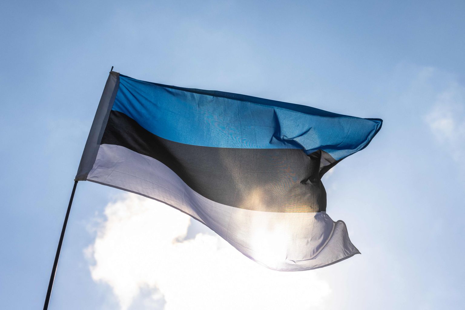 Эстонский флаг. Иллюстративное фото