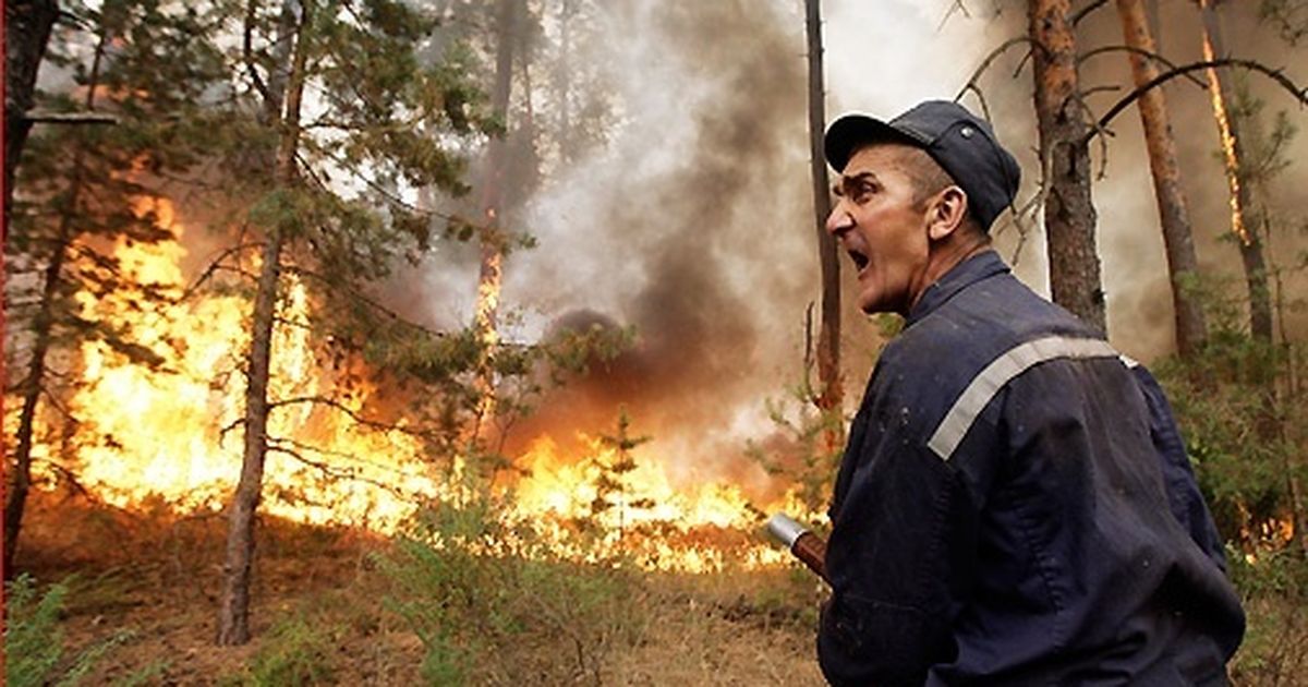 Последние лесные пожары в россии. Пожар в лесу. Лес в огне. Тушение пожара в лесу. Пожарный в горящем лесу.
