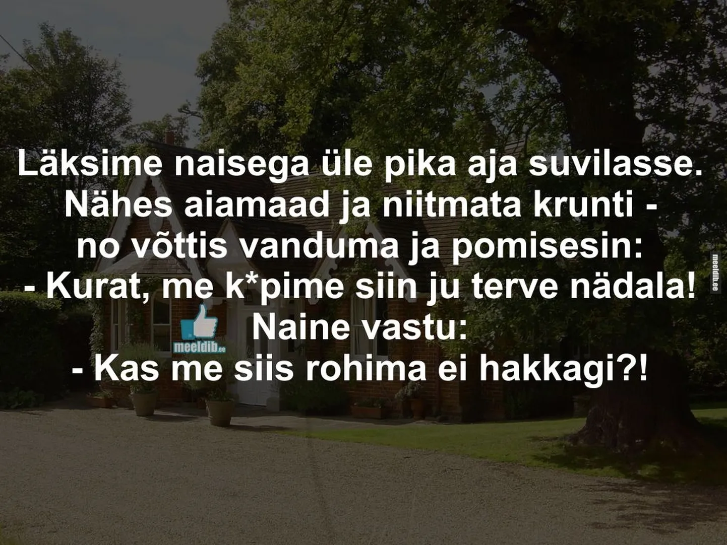 Artikli foto