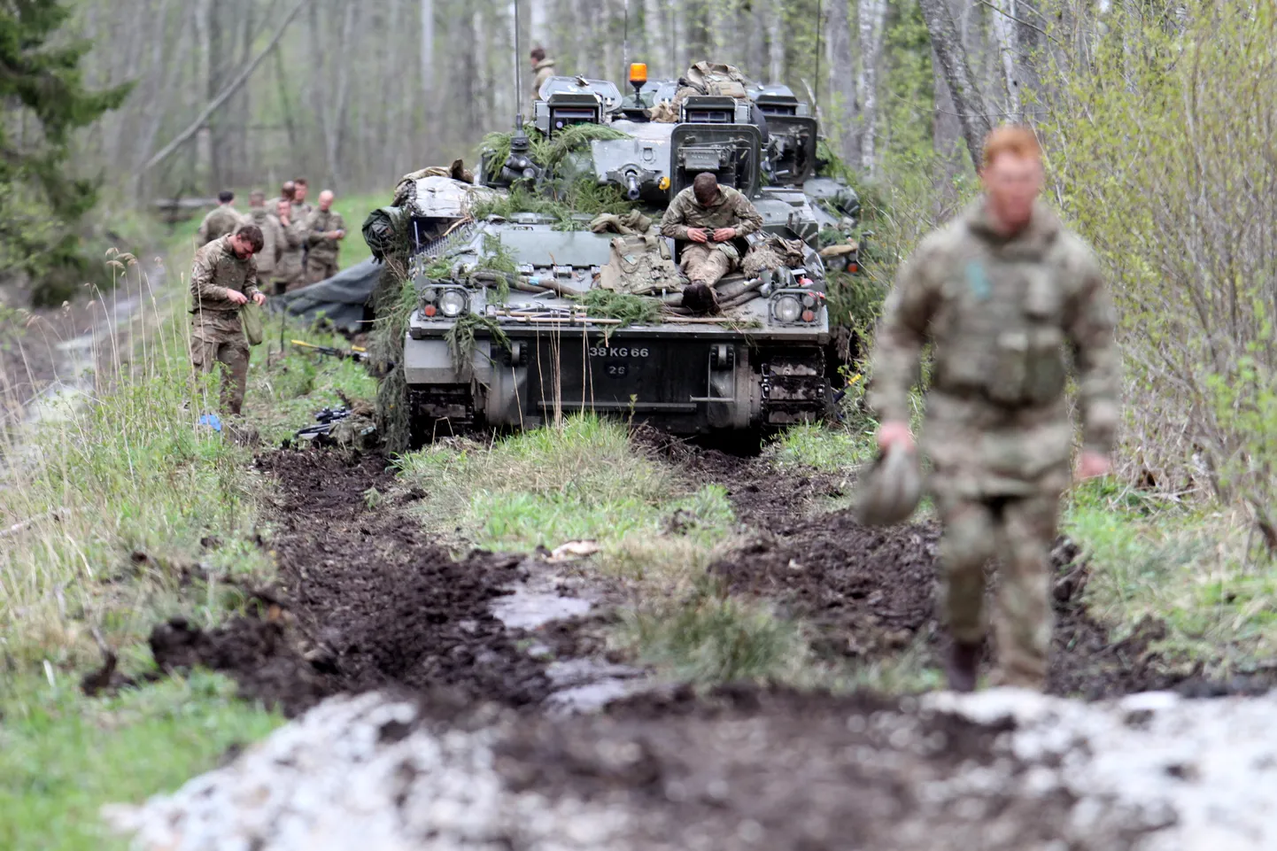 Kevadtorm aasta 2019.