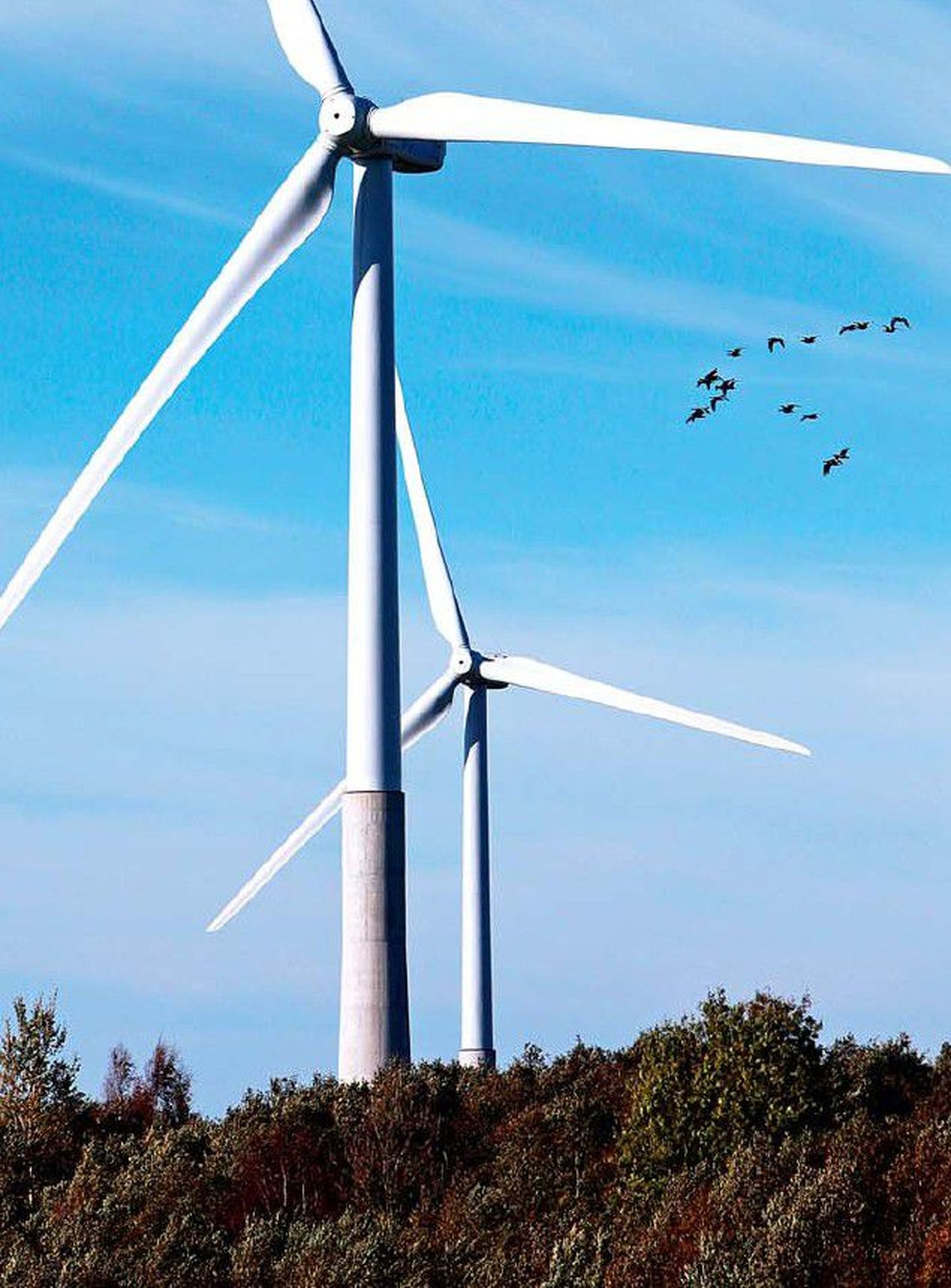 Keskkonnasäästliku tuuleenergia nõrkuseks on suured investeeringukulud.