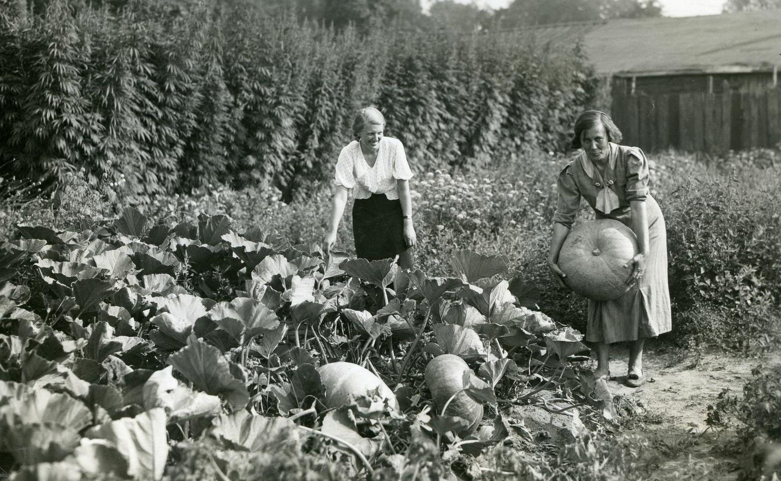 Varustusaia idee oli tagada, et õpilased saavad tunnis õpitud taimi käes hoida. 1930ndad.