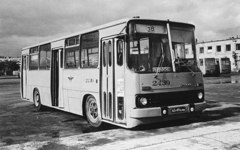 Ikarus 260 bussipargis aastal 1986. Sellised «stažöör-bussid» olid mõeldud uute bussijuhtiude koolitamiseks. Esimesest uksest sisse ei pääsenud, suurendatud kabiinis asus õpetaja tool.