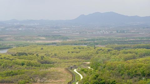 AASIA VAADE ⟩ Korea demilitariseeritud tsoonist sai varjupaik taimedele ja loomadele