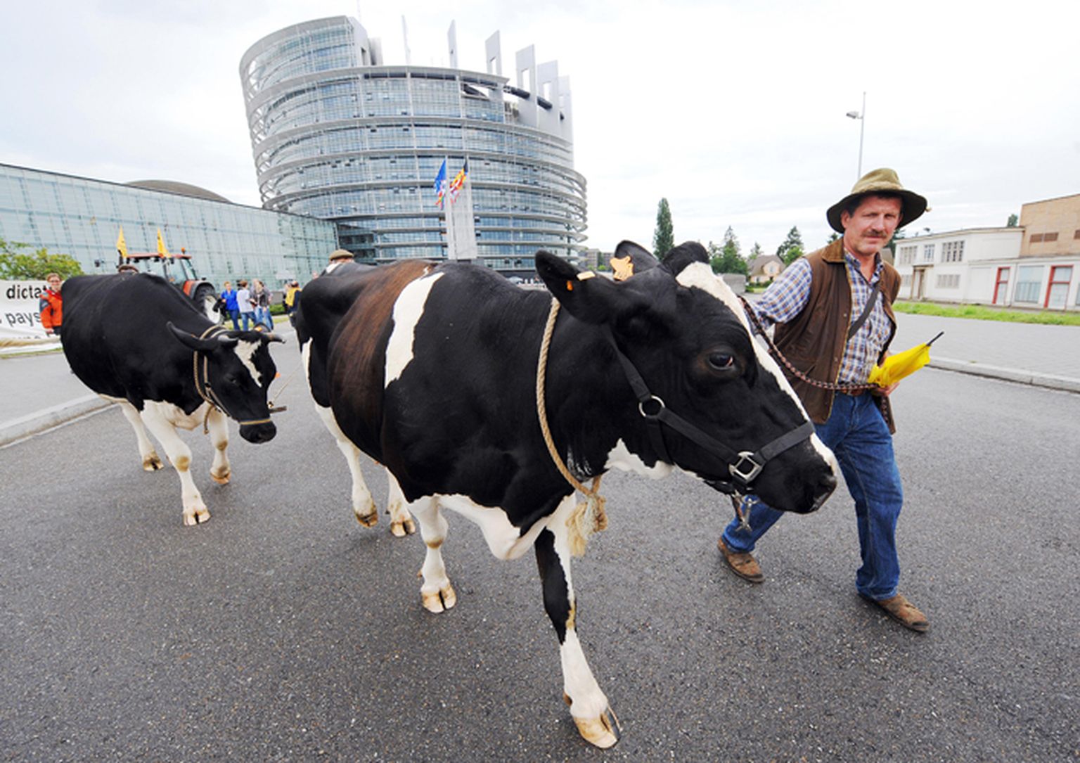 Фермеры на акции протеста у здания Европарламента