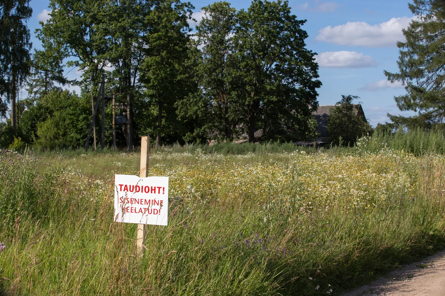 Väike-Maarja loomsete jäätmete käitlemise tehases käib puhverlao ehitus.