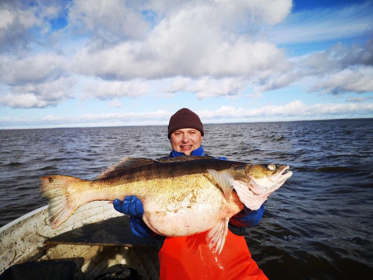 В прошлом году Ленно Саарепера, рыбак из Вильянди, поймал в озере Выртсъярв леща весом 14 кг и 150 граммов. 