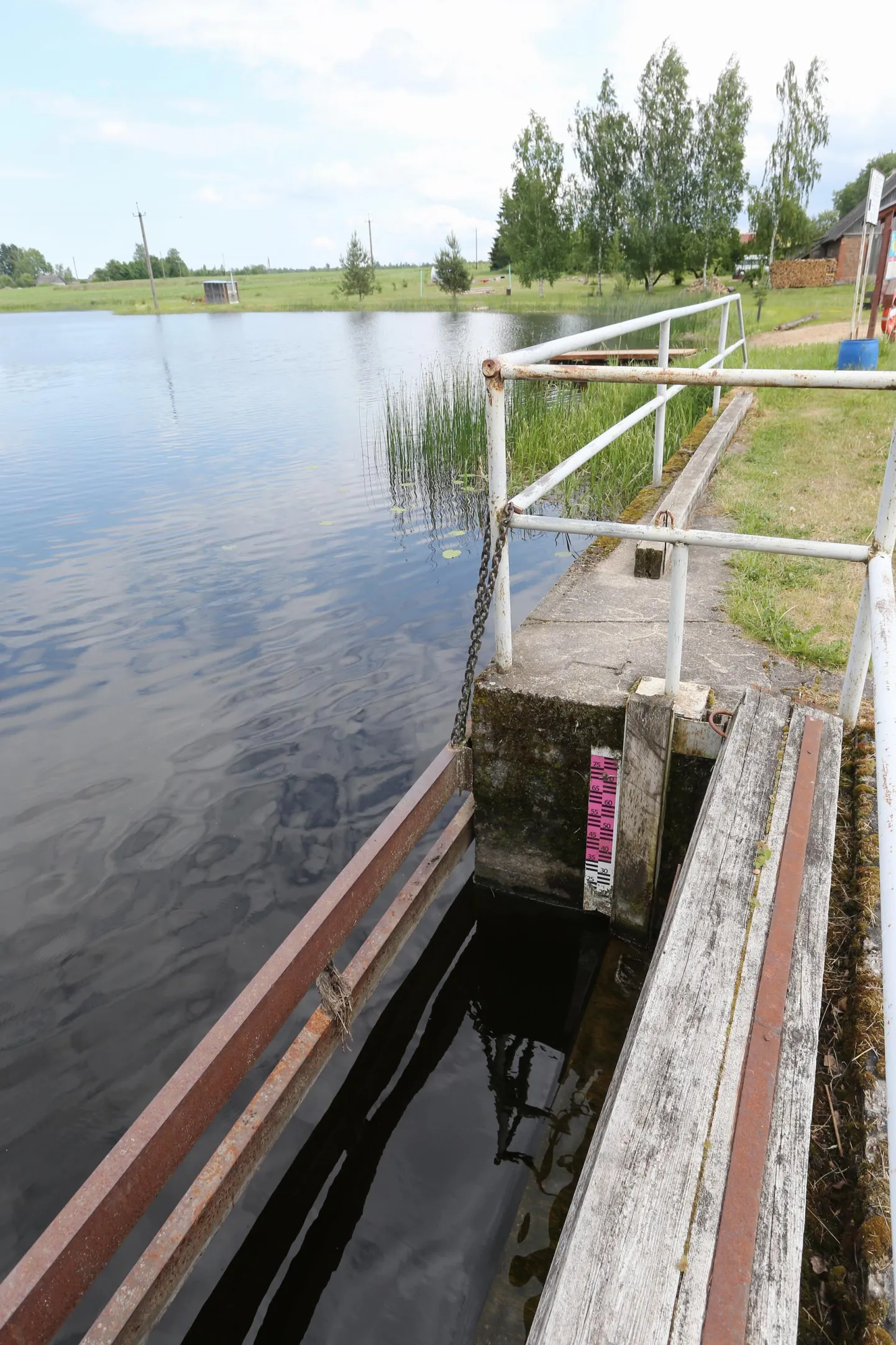 Est-For Investi esindajad pakuvad tselluloositehase uueks planeeritavaks asukohaks Tabivere kandis asuvat Koogit. Pildil Laeva jőgi Koogi külas.