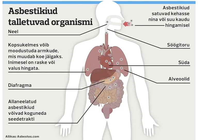 Asbest ja inimese organism FOTO: