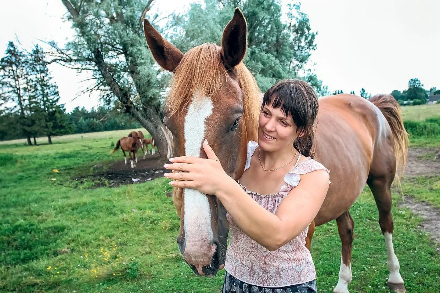 ”See on minu hobune Andreia, kõige leebem ja kõrgem, meeter seitsekümmend,” näitab Soometsa küla Kärbi talu perenaine Sirly Viirma oma lemmikut, Tori tõugu mära.