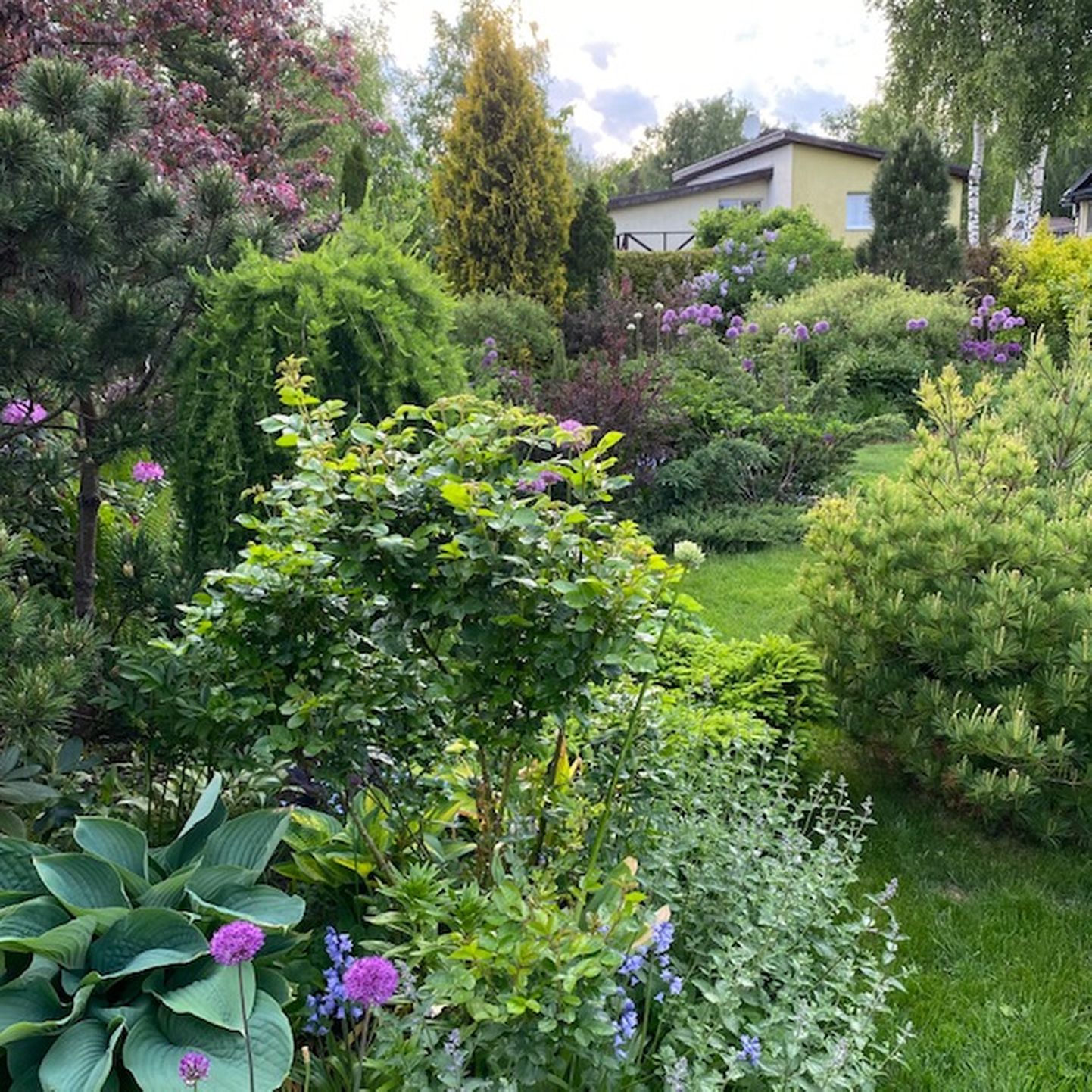 Самый красивый сад Хааберсти 2021 года. Снимок иллюстративный.