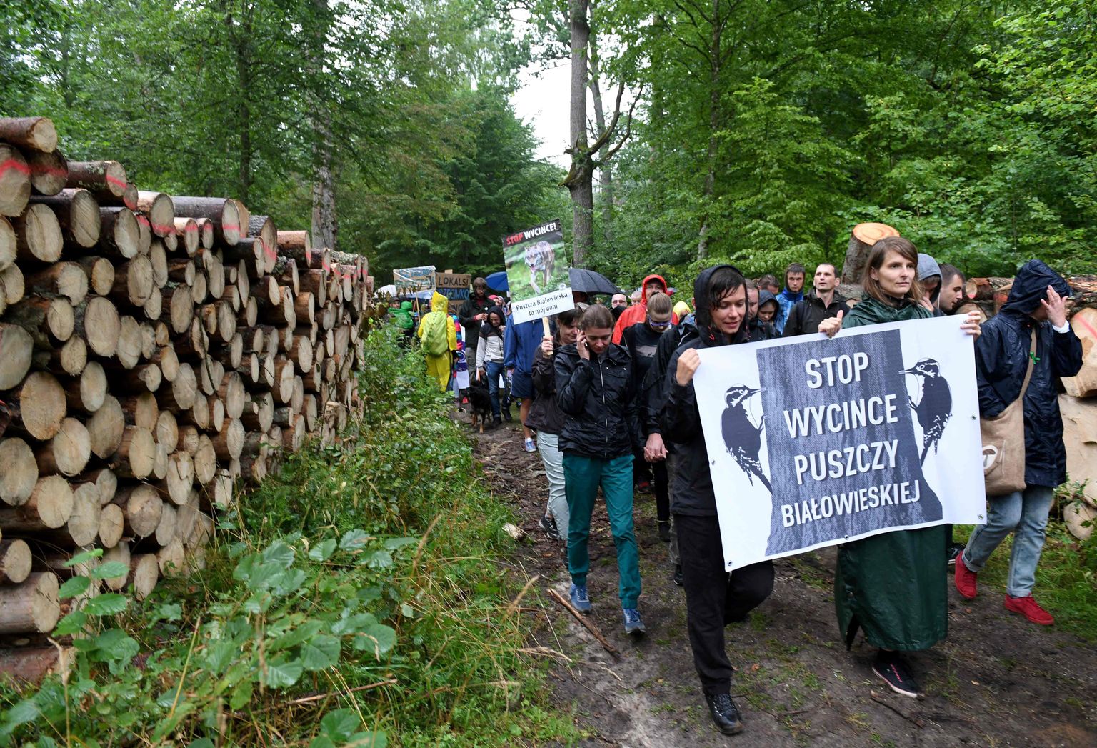 Bialowieza metsa raiumise vastane meeleavaldus.