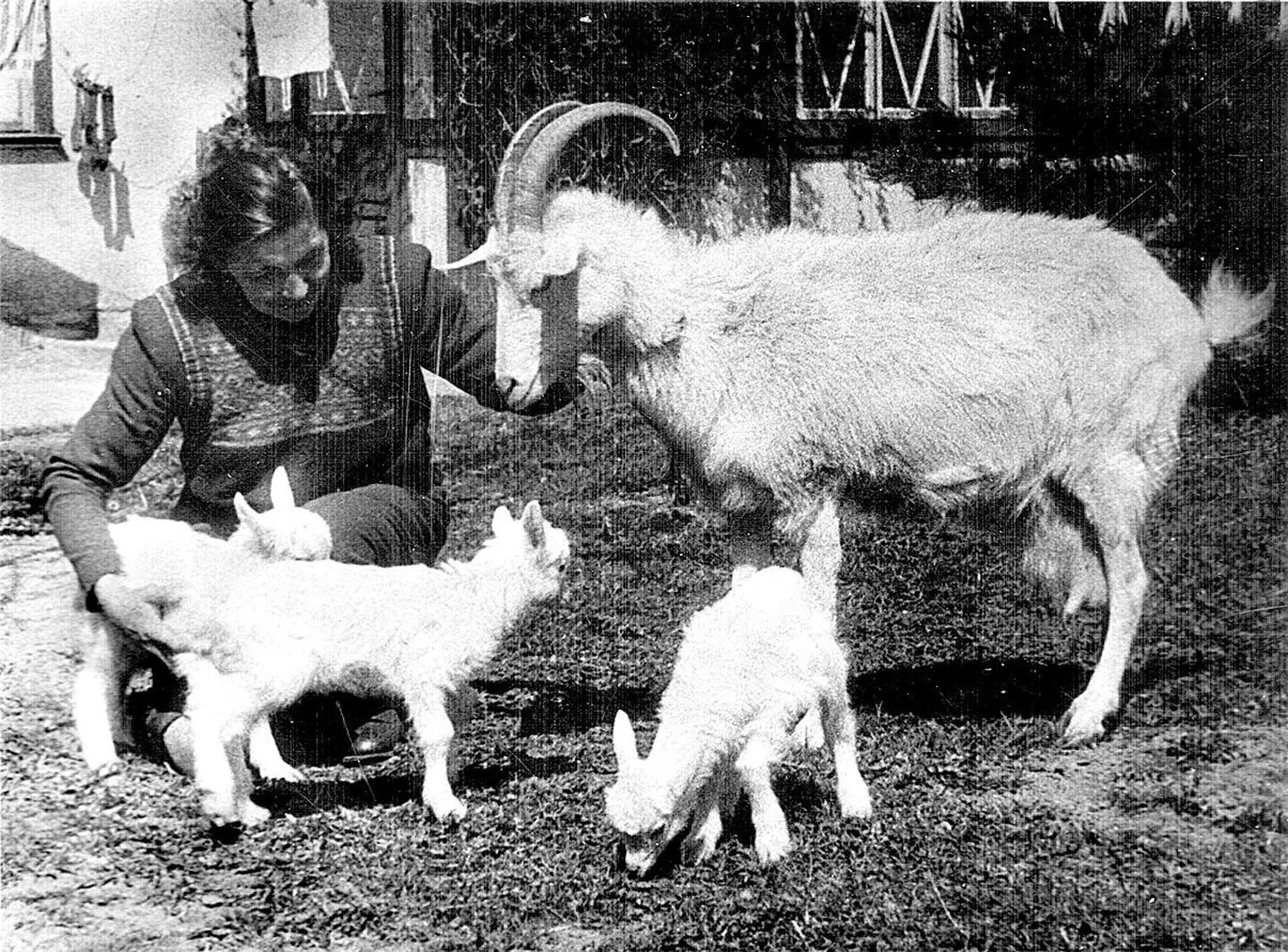 Valentina Luts oma kitsedega Riia 38 aias 1950. aasta paiku.