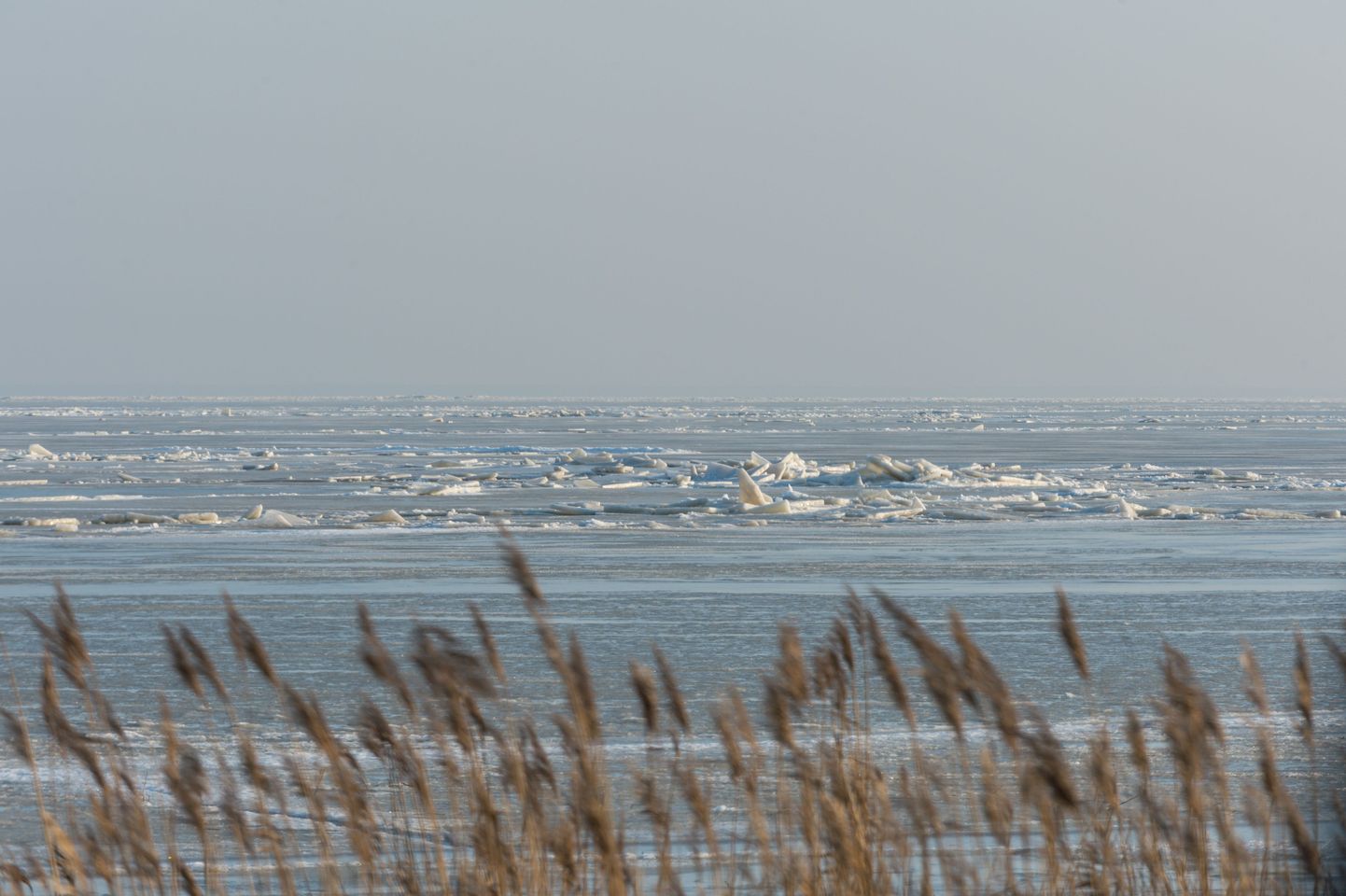 Mererannikul puhunud tugev tuul Pärnumaal suurt pahandust pole teinud.