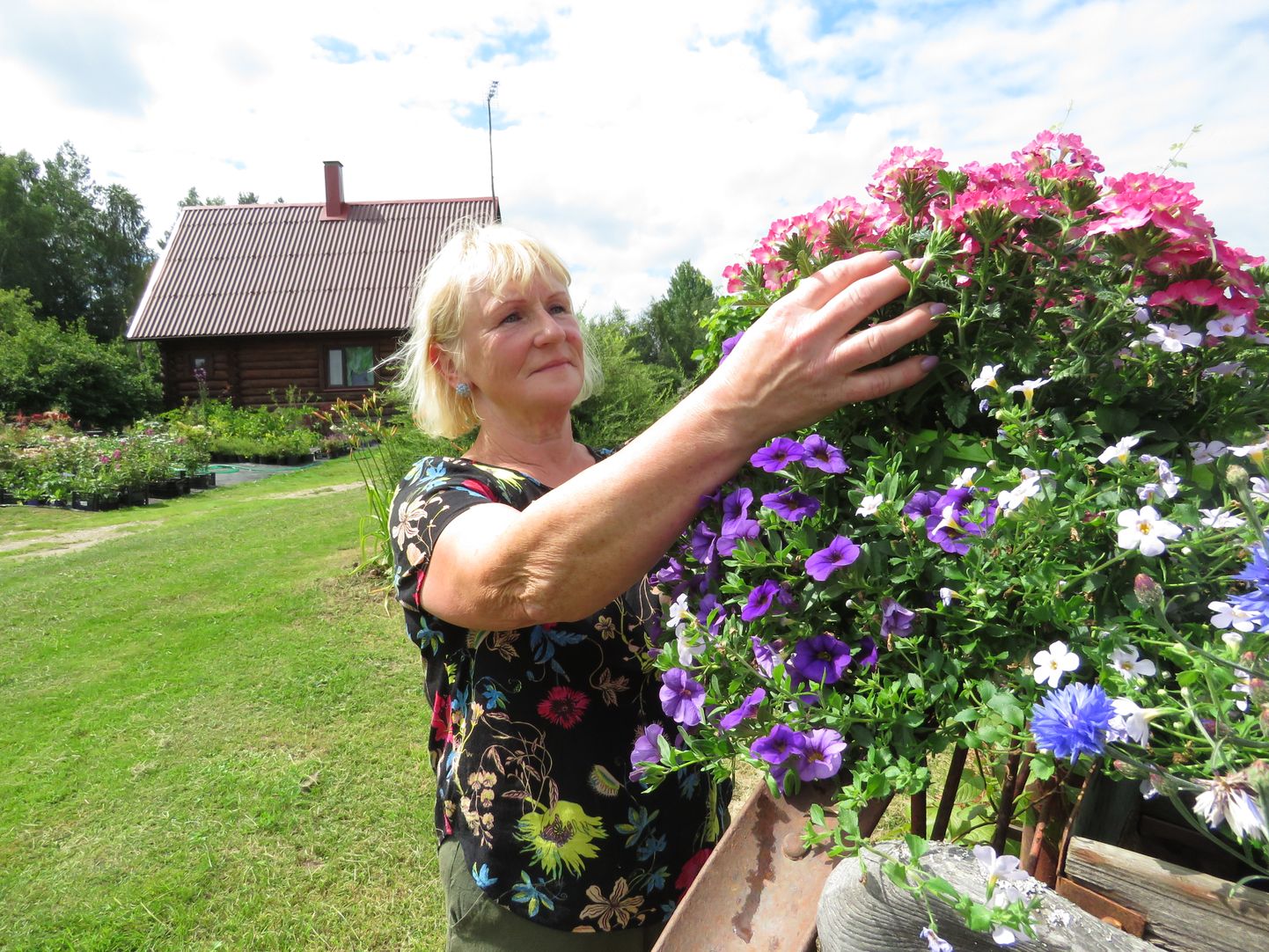 Valgamaal asuva Rahula aiandustalu perenaine Helju Kõiv on ülimalt rahul ja õnnelik, et saab tegeleda lilledega.