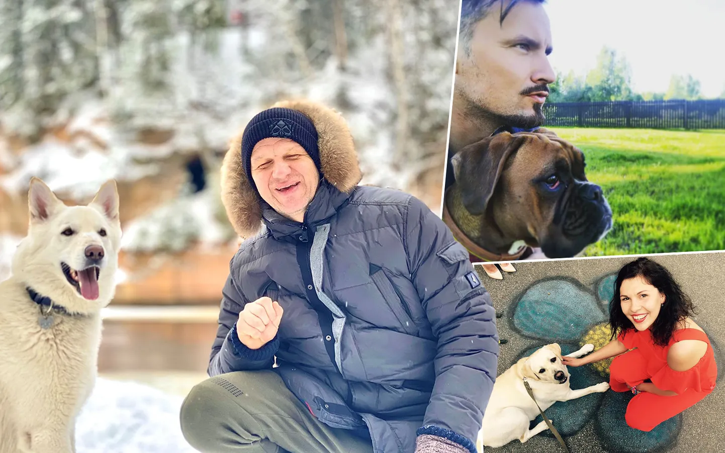 Raksta foto