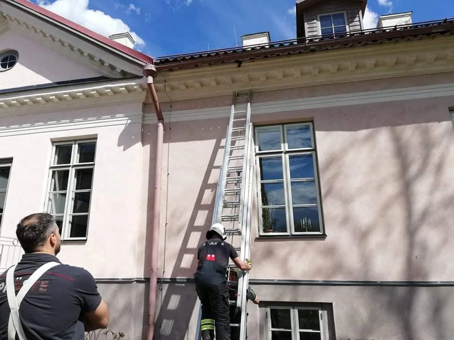 Artikli foto