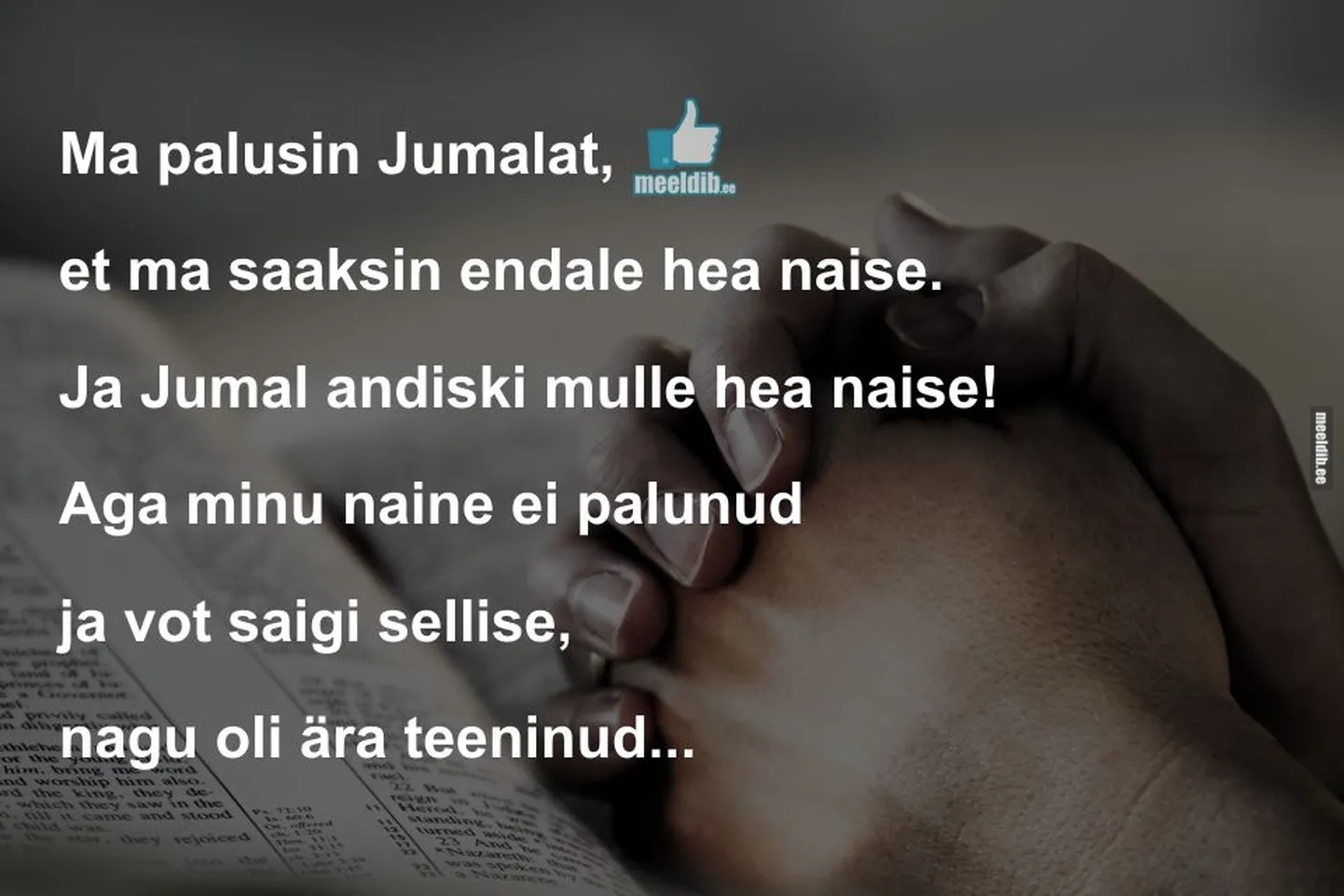 Artikli foto