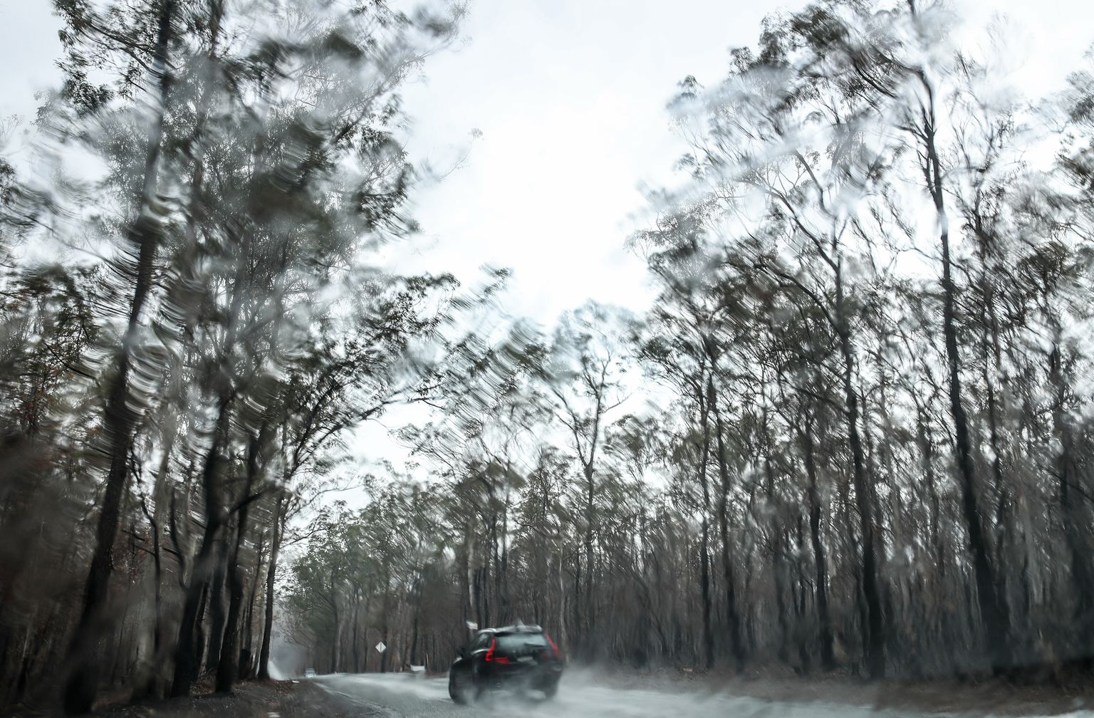 Vihmasadu Austraalias Uus-Lõuna-Walesis Tarees