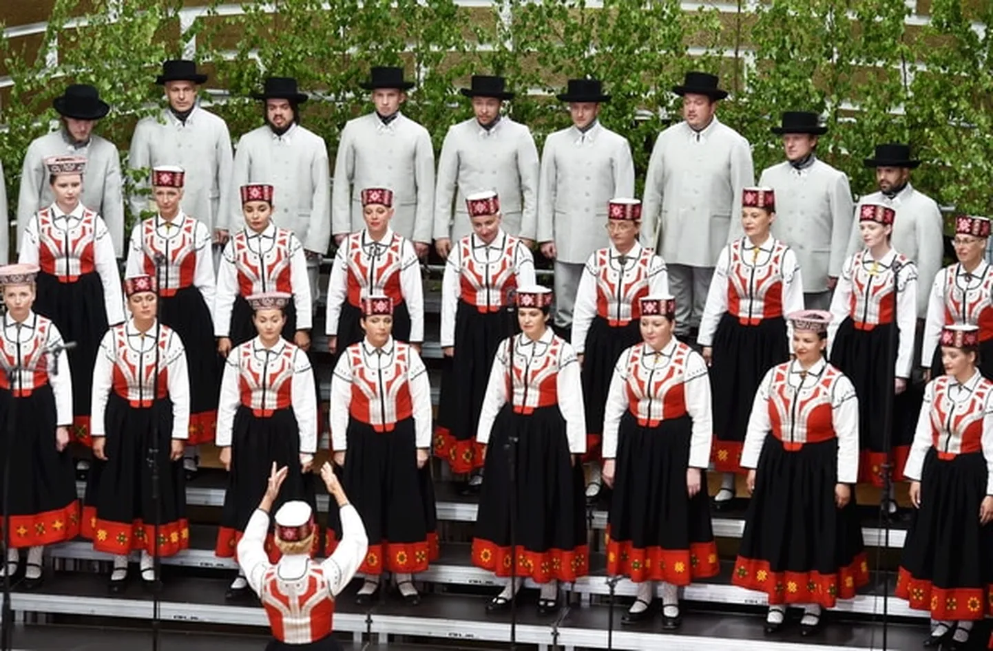 Raksta foto