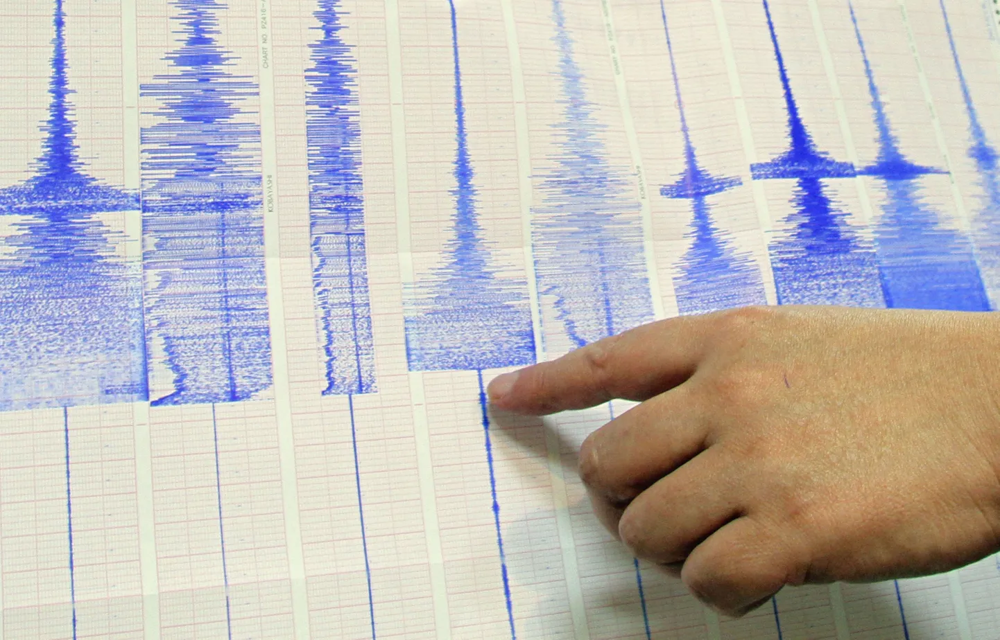 Seismoloog uurib maa-aluste tõugete graafikut.