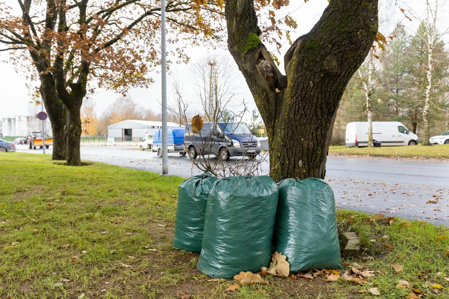 Sügisel ja kevadel saavad linlased oma kodu juures aia- ja haljastusjäätmeid tasuta ära anda. Selle kevade esimene ring on tehtud ja aprilli lõpu poole ootab ees teine, mil võib oodata juba suuremat jäätmekogust.