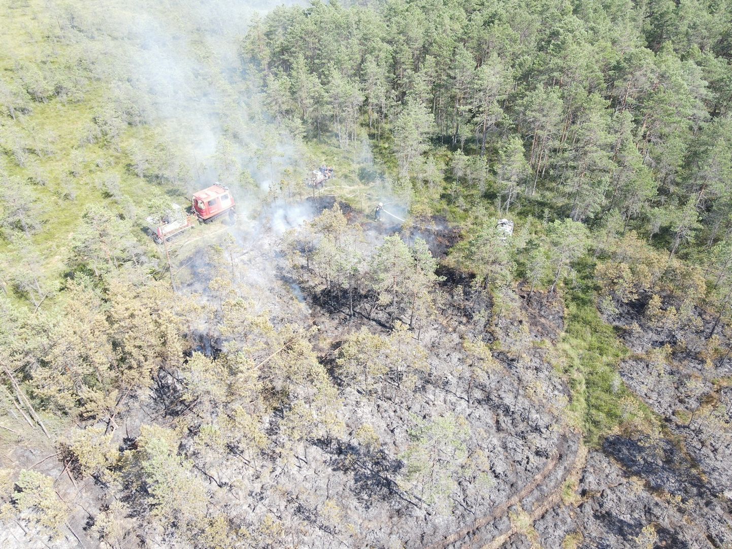 Pühapäeval sai Lõuna-Eesti päästekeskus teate metsatulekahjust Elva vallas Saare külas ning tulekahju kustutamistööd kestatavad tänaseni.