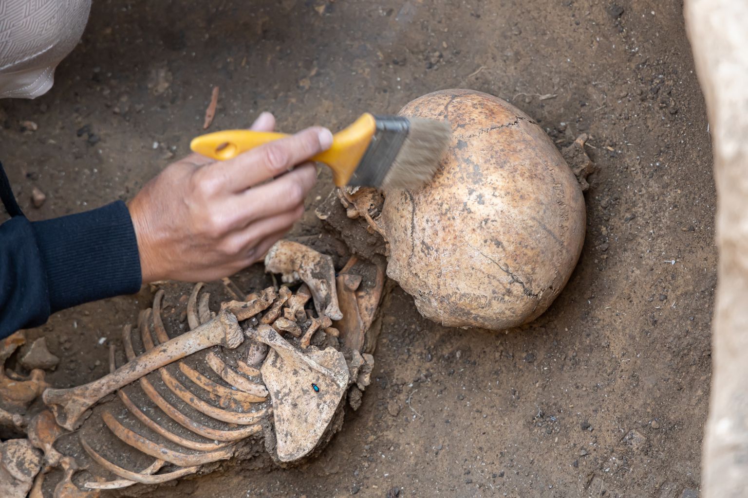 Arheoloog inimluustikku välja kaevamas. Pilt on illustreeriv