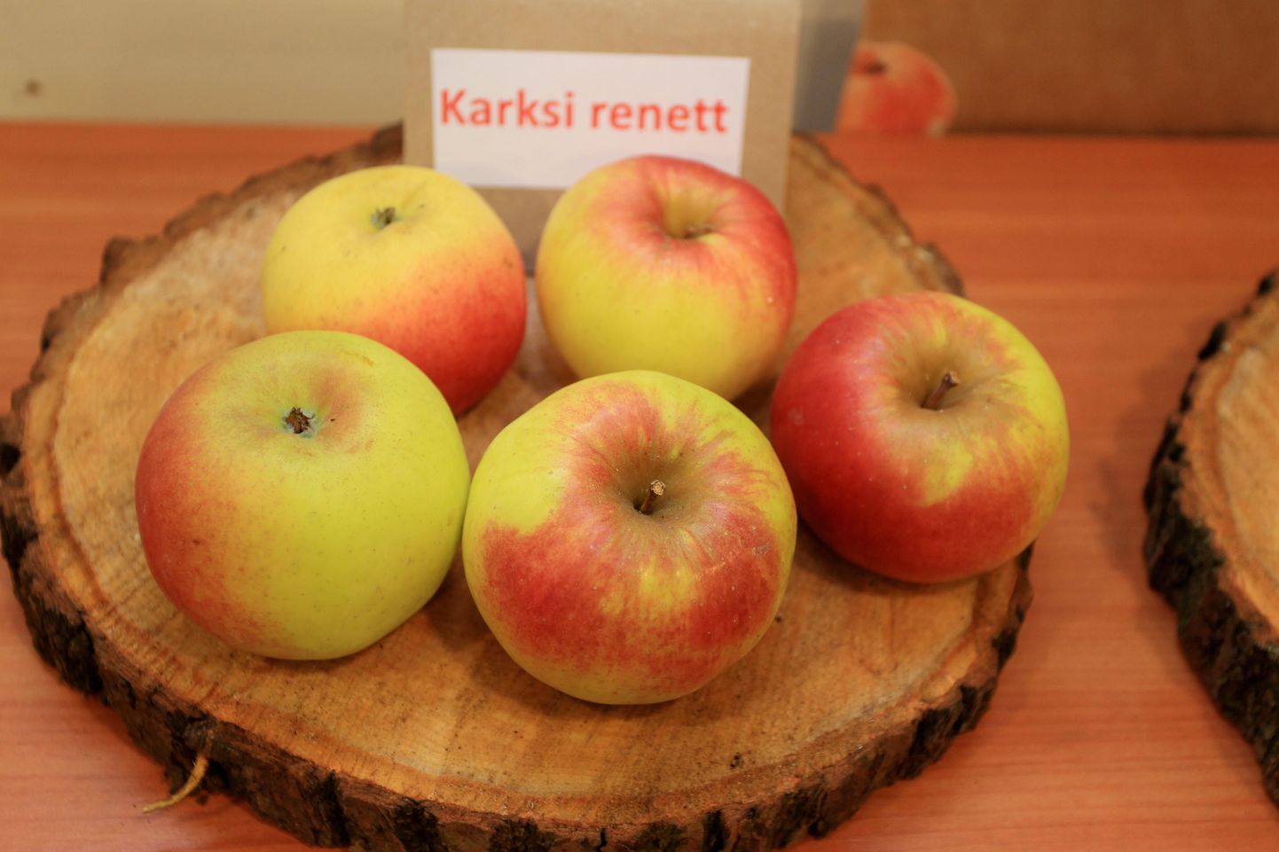 Eestis kasvatatakse õunasorte «Liivi kuldrenett» ja «Karksi renett» ning nende viljad ei sarnane Mulgi Õuna pakutavatega.