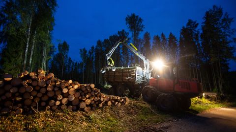 FARIŠTAMO ELLER ⟩ Kaitsealadel tööstuslik puiduvarumine on saatuslik viga