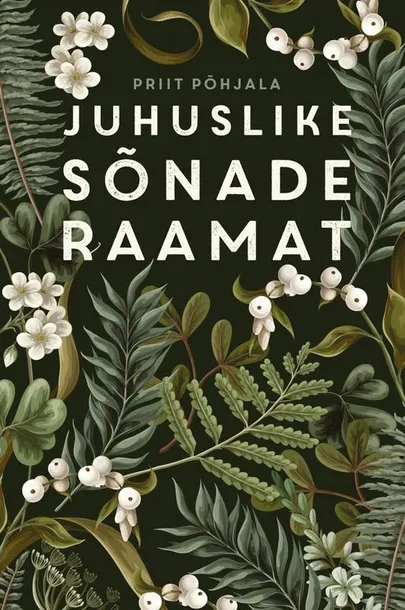 Priit Põhjala, «Juhuslike sõnade raamat».