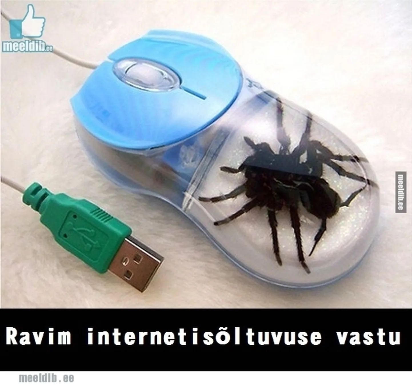 Artikli foto