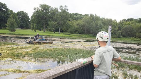 Linna tiike asuti puhastama