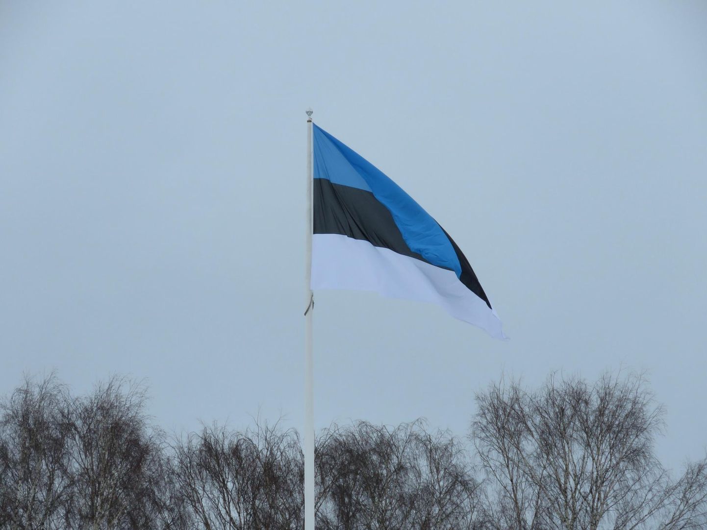 Eesti lipp Otepääl.