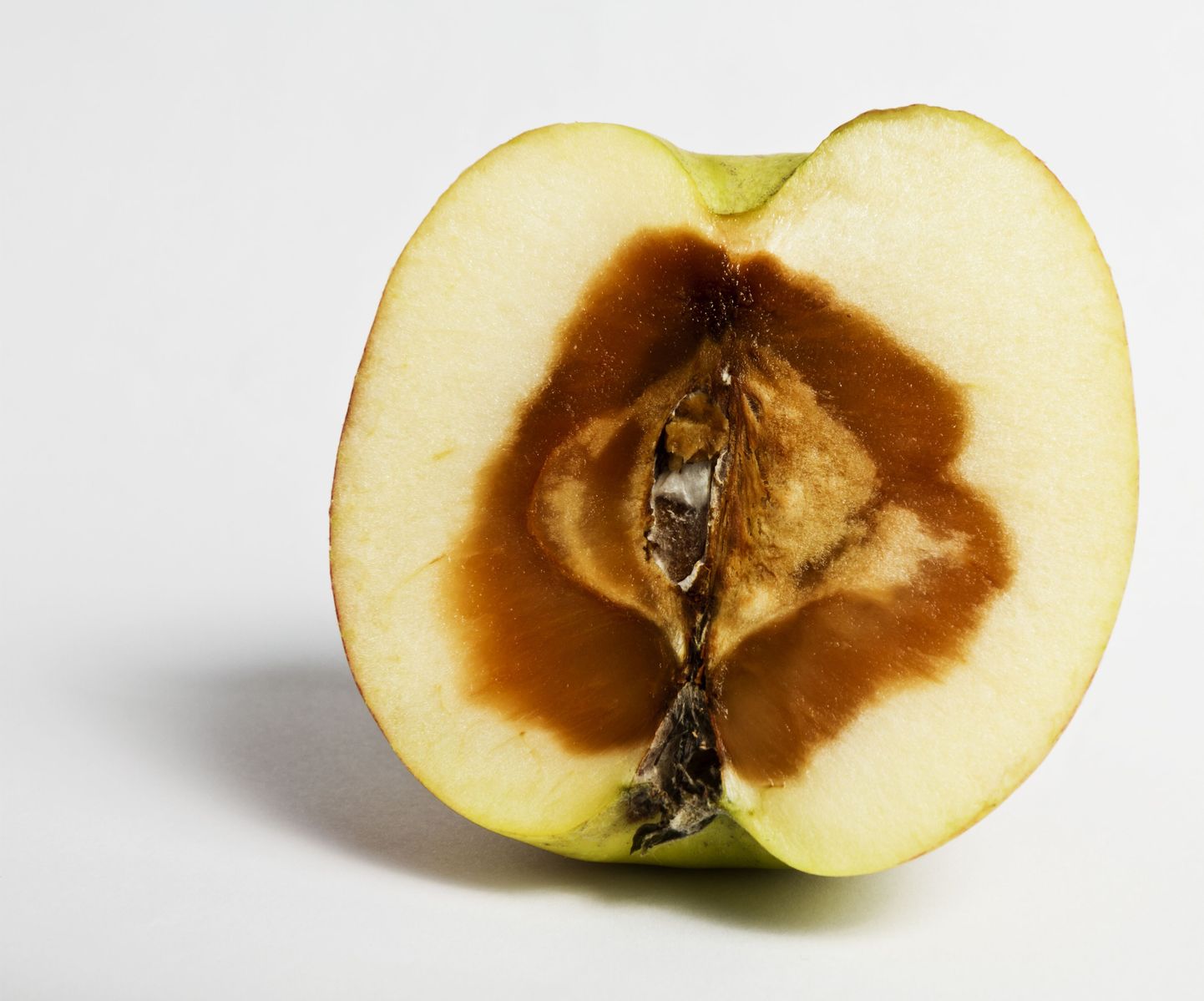 Õunamädanik võib varjata ennast ka terve ubina südamikus.
