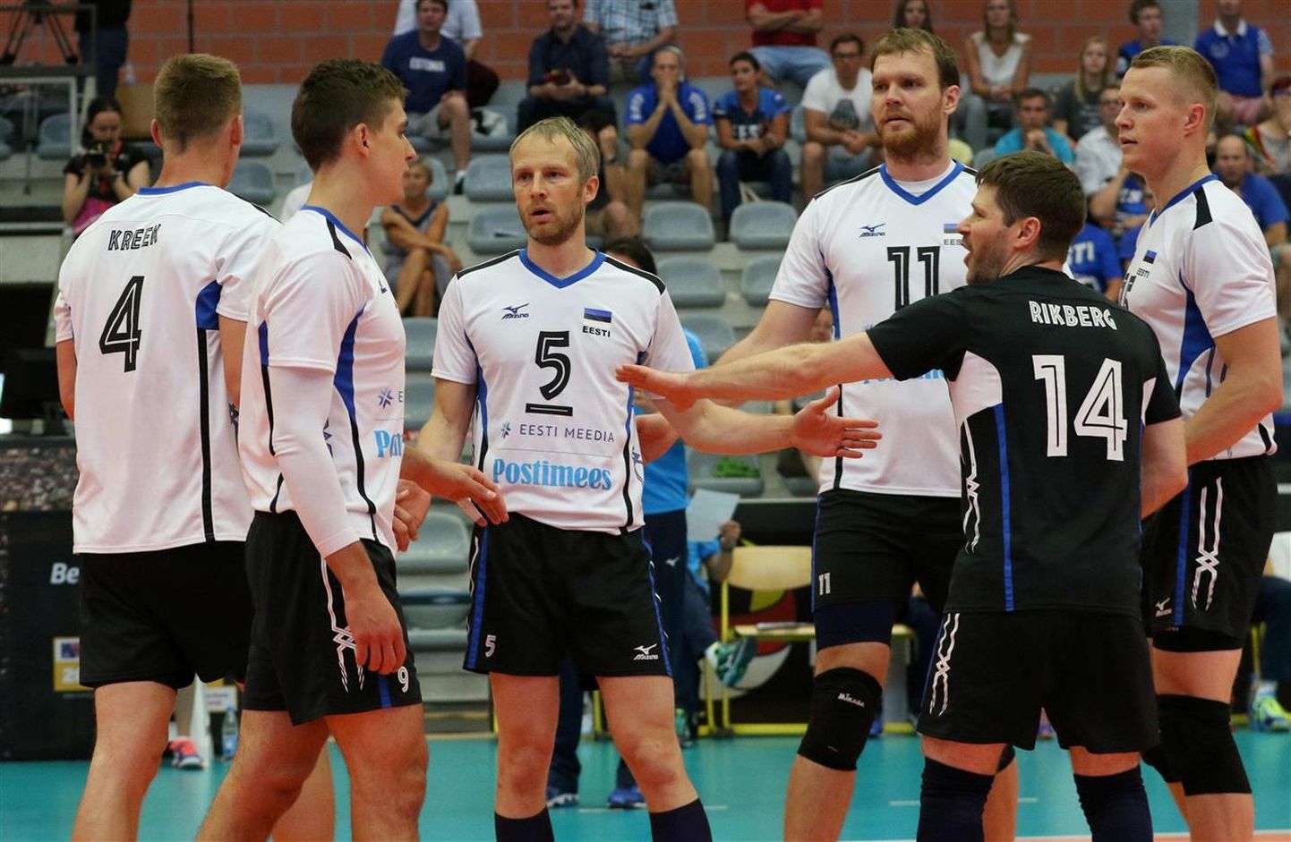 Eesti võrkpallikoondisel on MM-valikturniiril küll mitu meest eesotsas Ardo Kreegi (vasakul) ja Andrus Raadikuga (paremal) puudu, ent parima koondisega pole suve esimeses pooles väljas ka sisuliselt ükski Eesti konkurent.