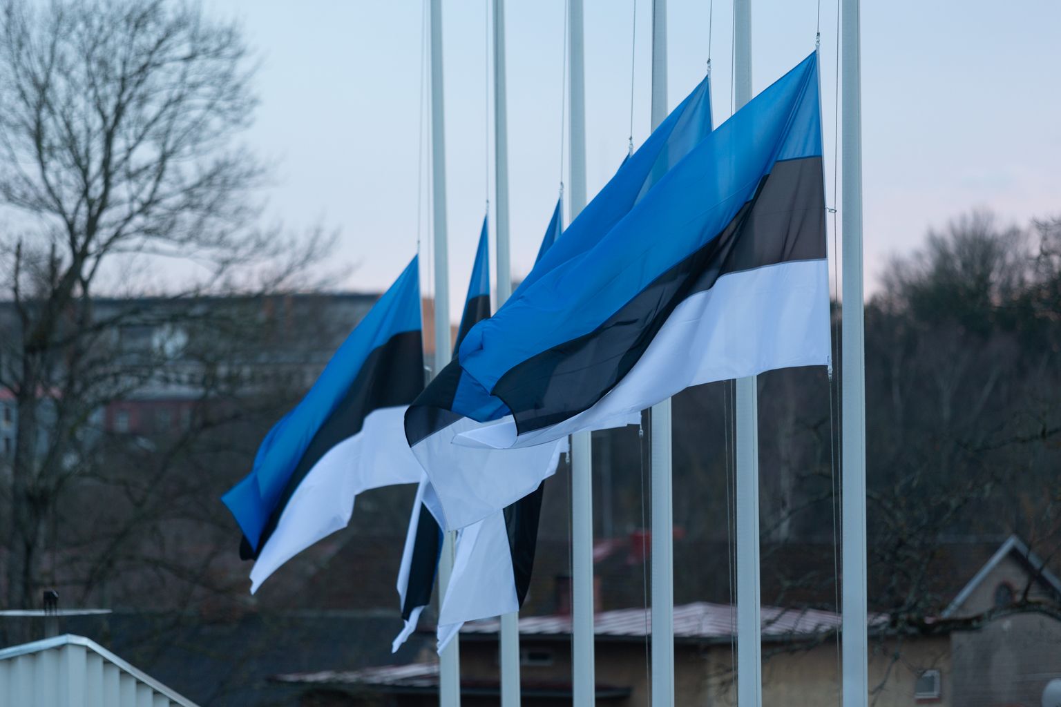 Eesti lipp, Eesti lipud.