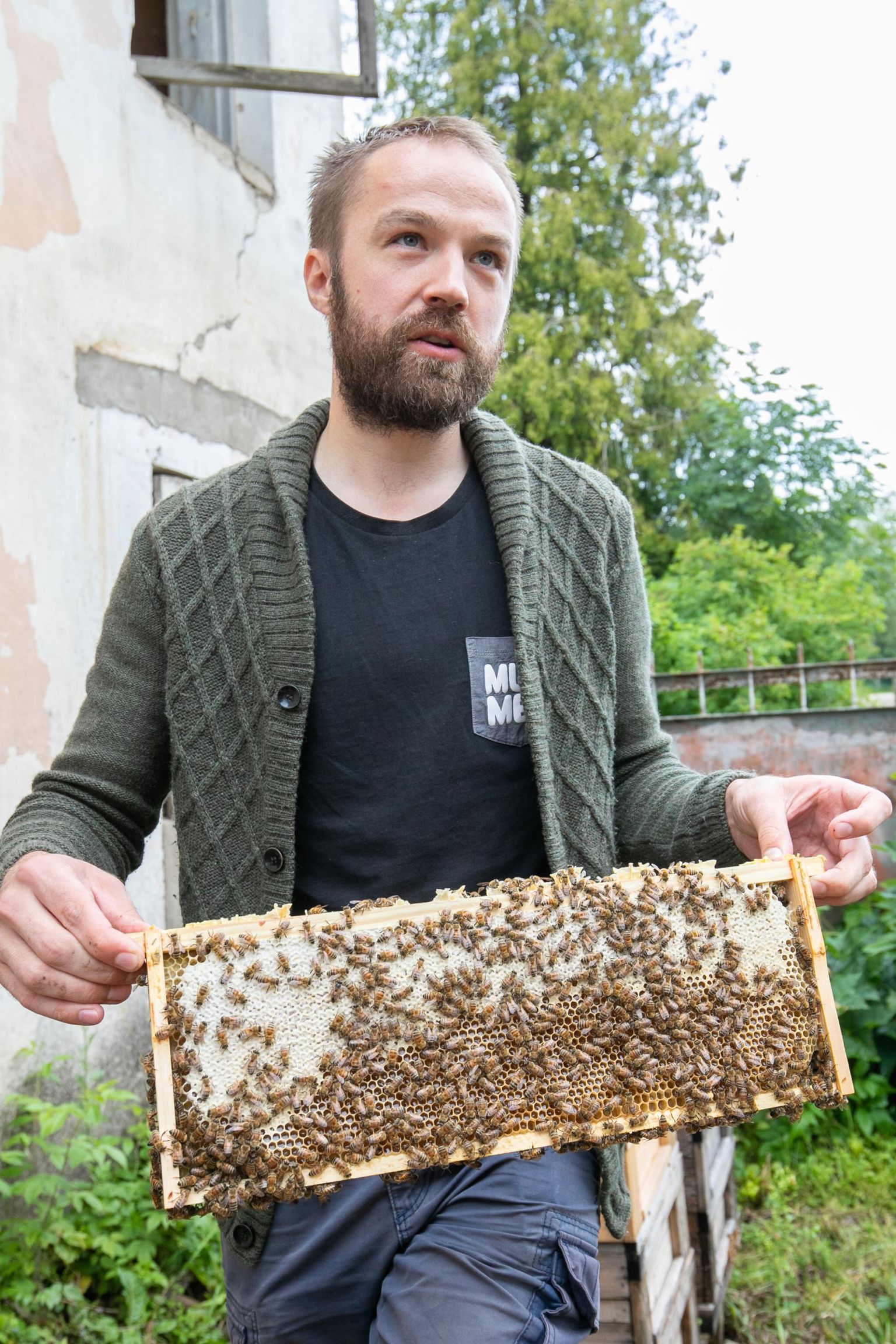 Mart Kullamaa sõnul on tänavust saaki raske ennustada, see oleneb mesilastest ja korjest.