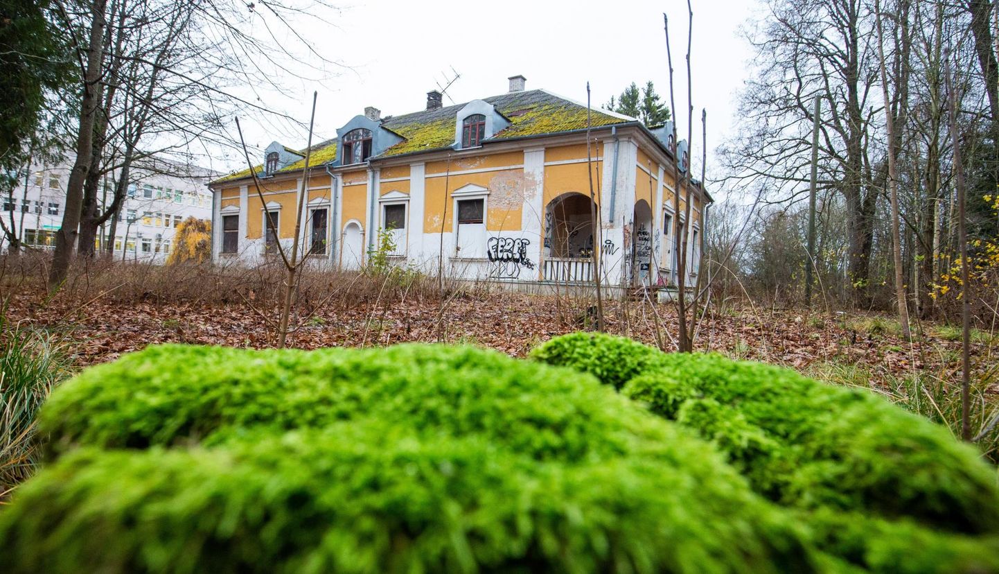 Tartu sanatooriumi park, kus asub Aino ja Oskar Kallase maja.