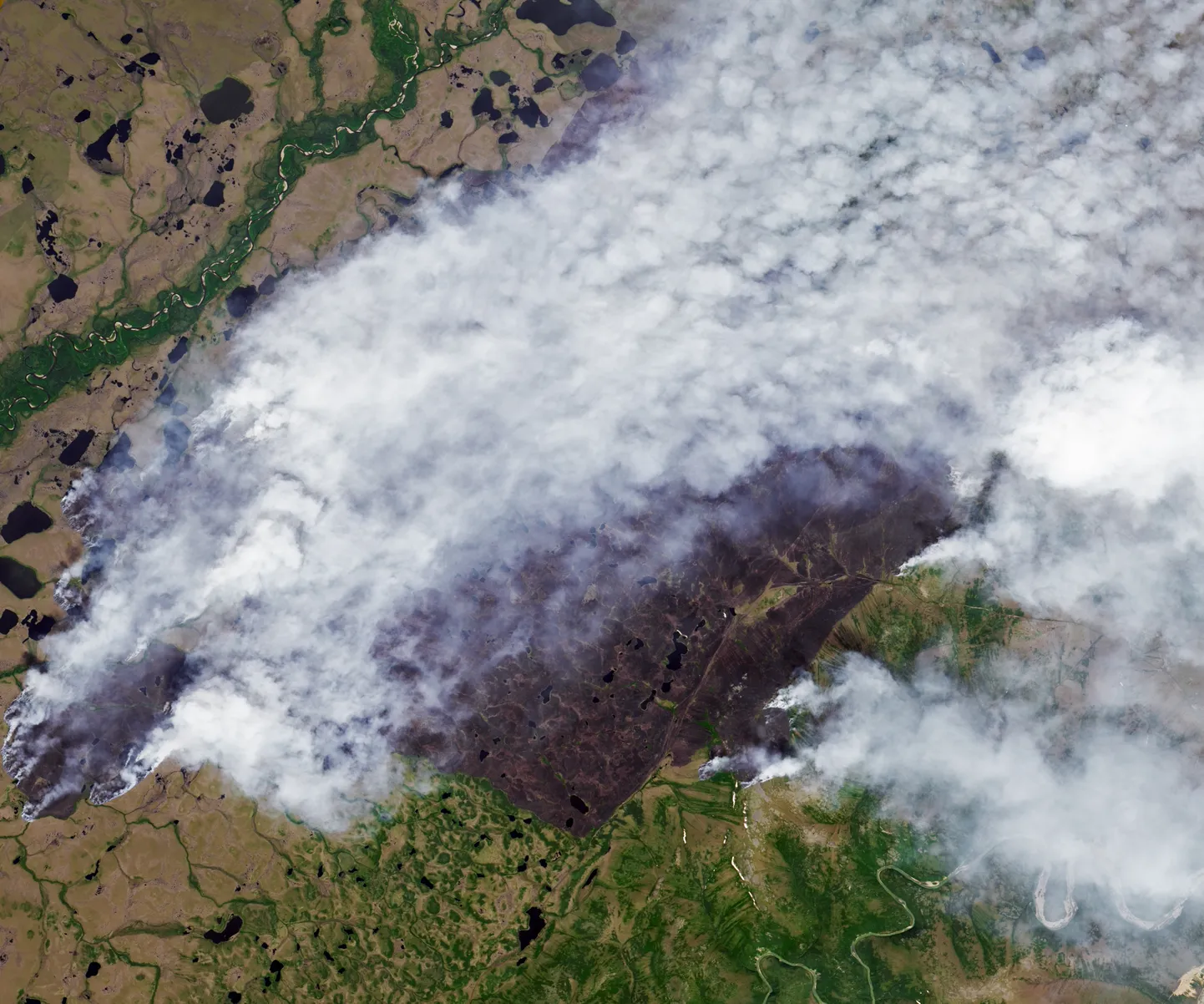 NASA satelliidifoto Venemaa metsapõlengutest 4. juulil