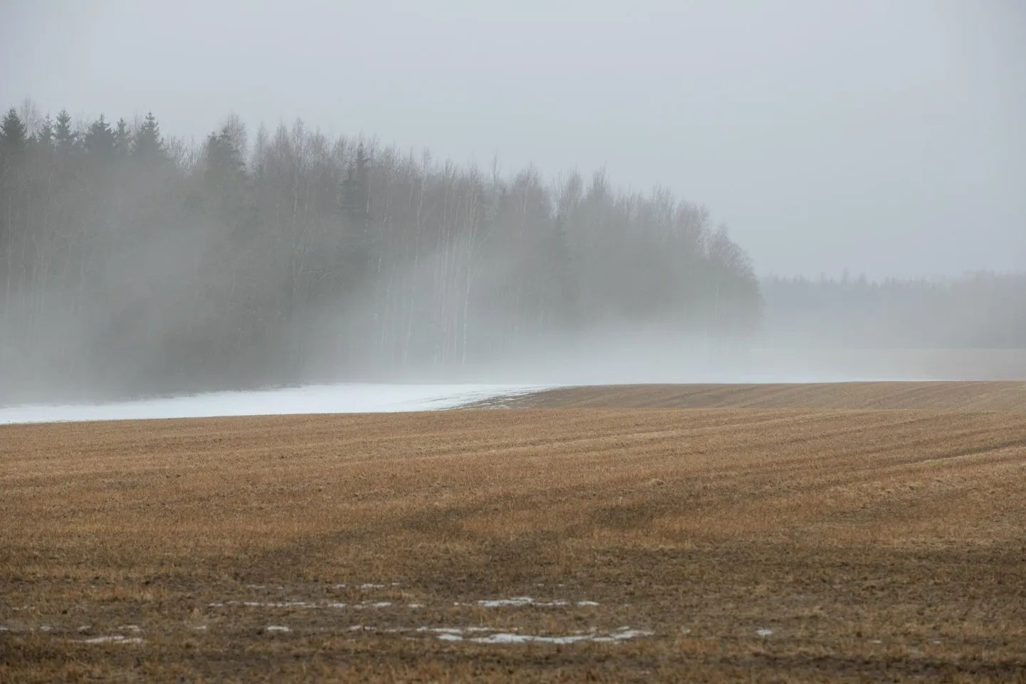 Udu metsa ääres.