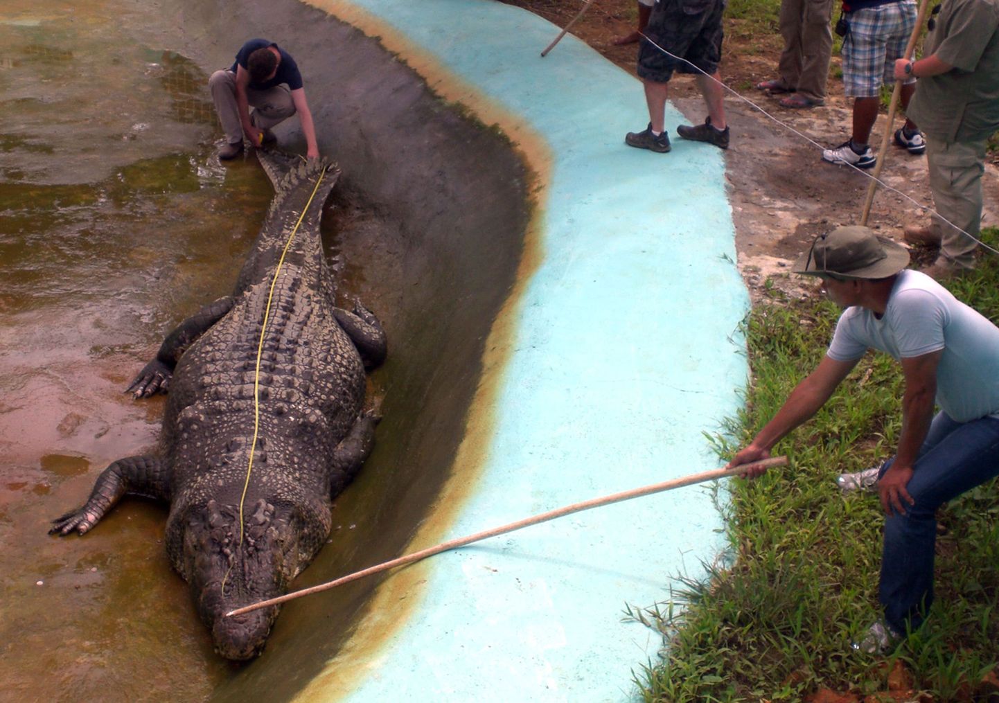 Austraalia zooloog Adam Britton Filipiinidel Bunawanis krokodilli mõõtmas