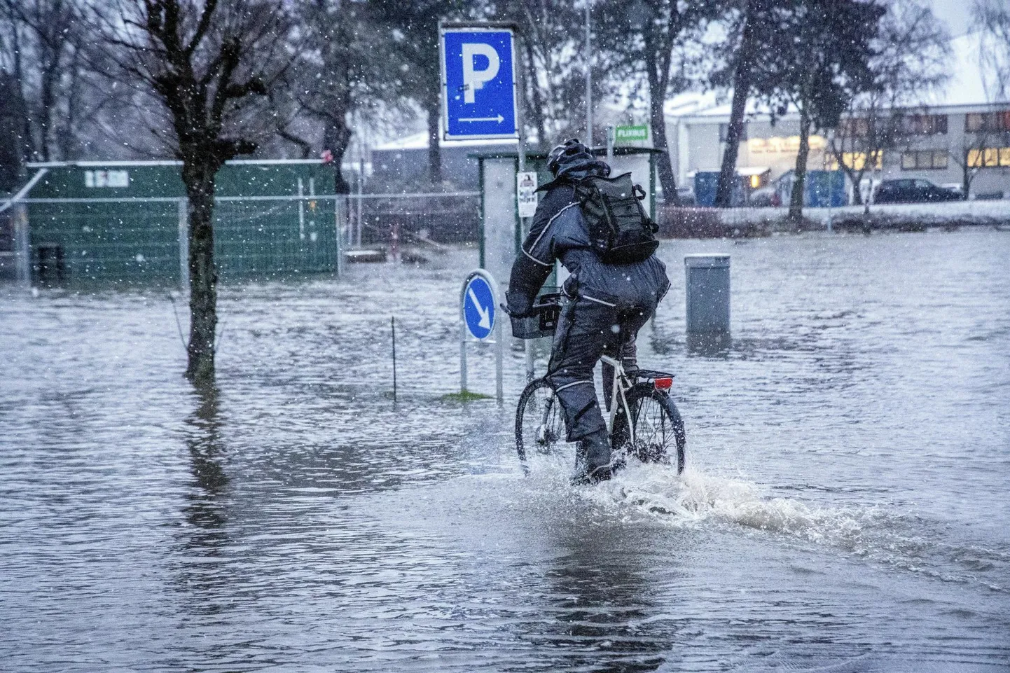 Lumi ja vesi korraga: jalgrattur neljapäeval üleujutatud tänaval Kagu-Taanis Nykøbing Falsteris.