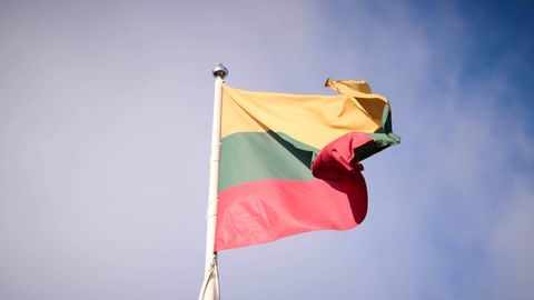 VÕIMALIK PROVOKATSIOON ⟩ Klaipėdas rüvetati eile üle kümne Leedu lipu