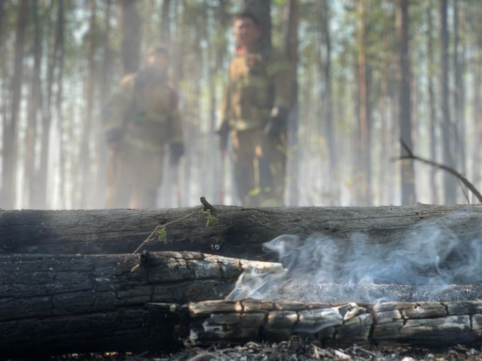 Meža ugunsgrēks Sibīrijā.