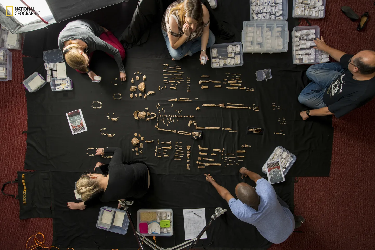 Lõuna-Aafrika vabariigis asuva Witwatersrandi ülikooli teadlased uurivad 2014. aastal koobastest leitud Homo naledi säilmeid