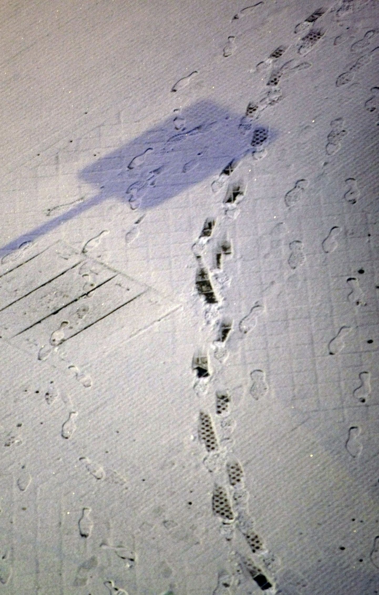 Jalajäljed lumisel tänaval